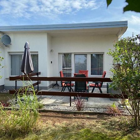 Ferienbungalow Ancora In 科瑟罗 外观 照片